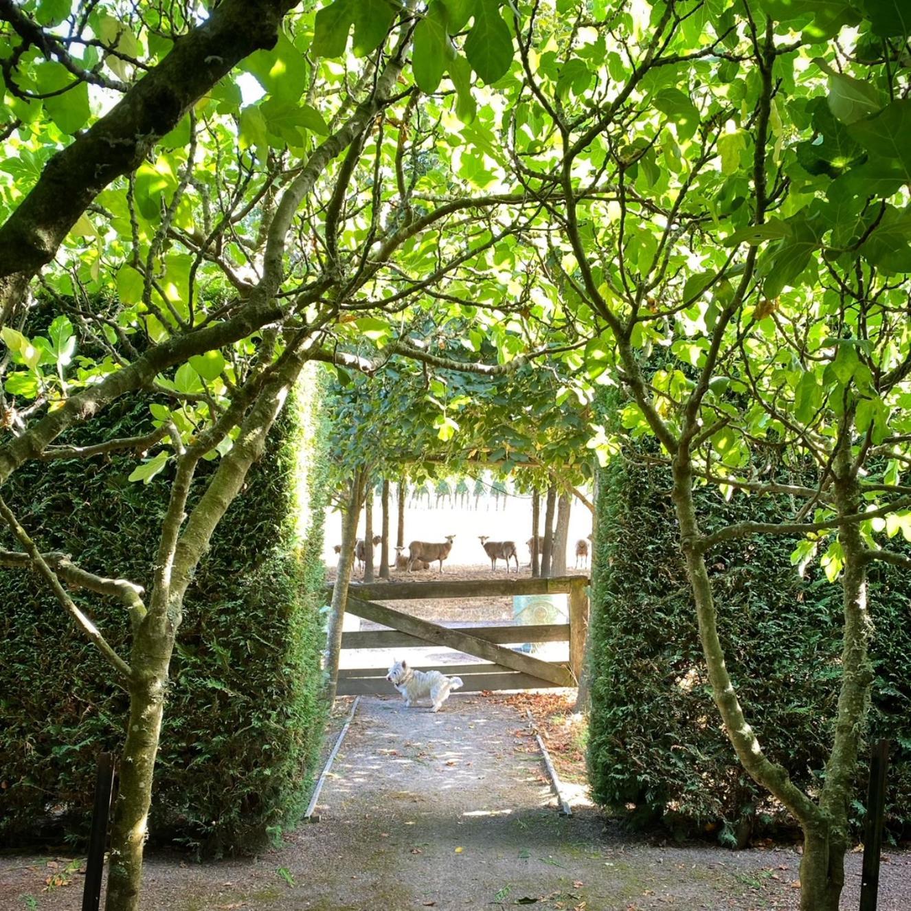 Вилла Stablehouse Garden Shed Мастертон Экстерьер фото